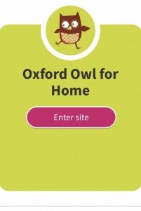 Oxford Owl