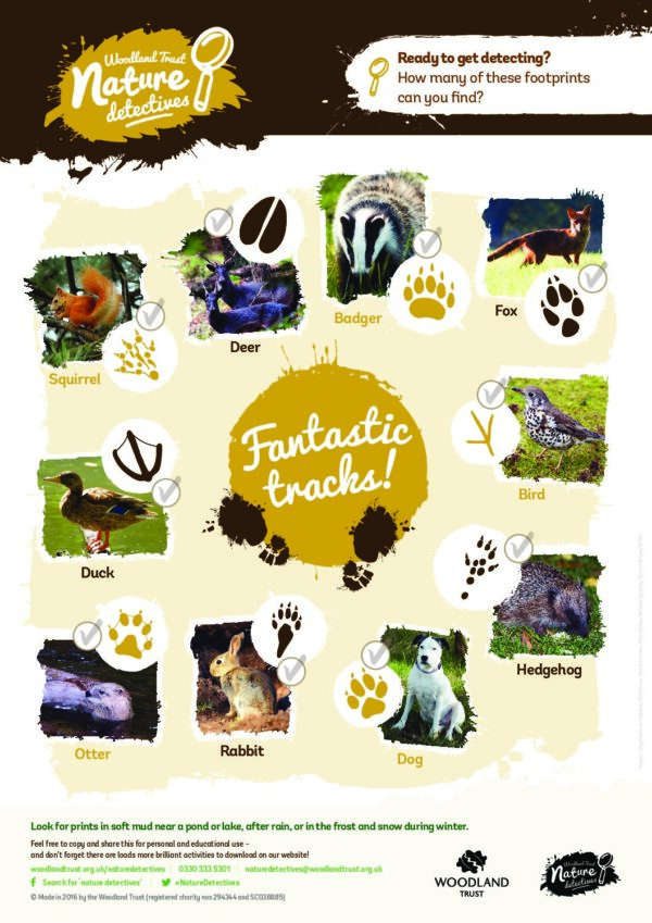 Animal Tracking ID