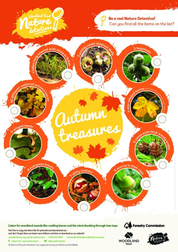 Autumn Treasures