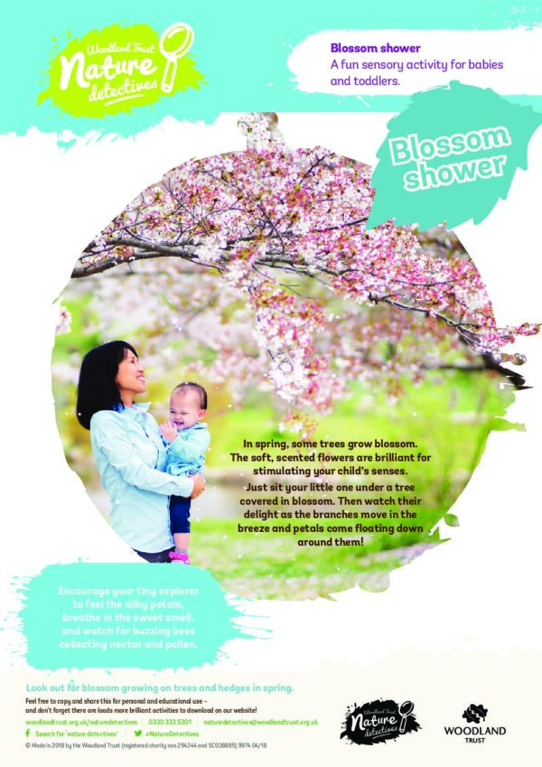 Blossom Shower